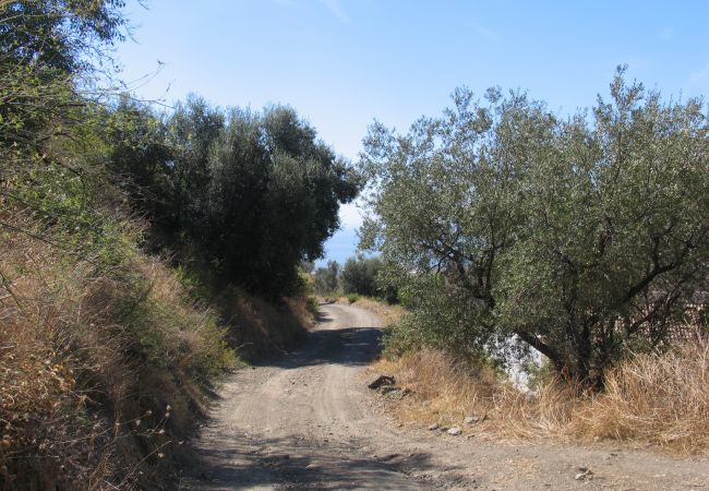 Villa i Algarrobo - Casa Turbolina - Stort landhus med privat pool  Villa i Algarrobo - Casa Turbolina - Stort landhus med privat pool