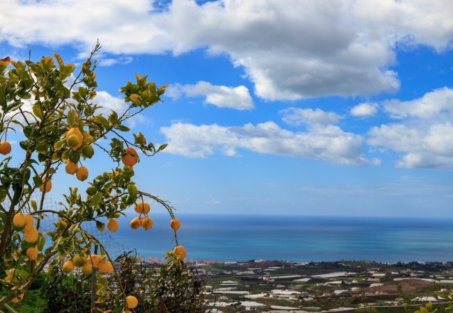 Villa i Algarrobo - Casa Turbolina - Stort landhus med privat pool  Villa i Algarrobo - Casa Turbolina - Stort landhus med privat pool