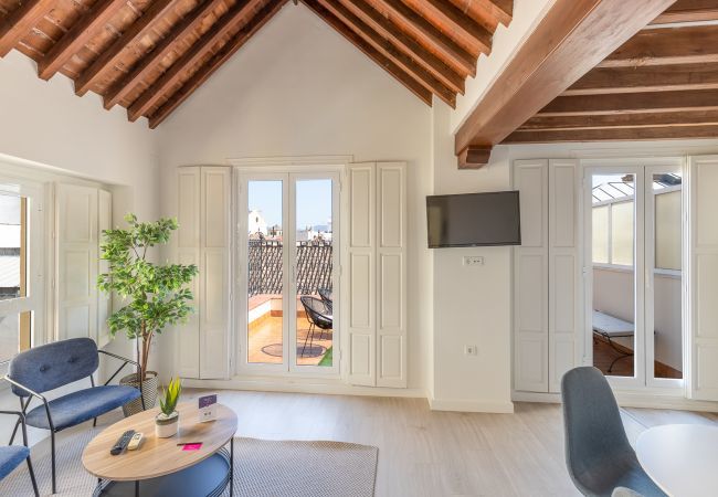 Apartment in Málaga -  Thyssen Penthouse  with terrace 3A Apartment in Málaga -  Thyssen Penthouse  with terrace 3A