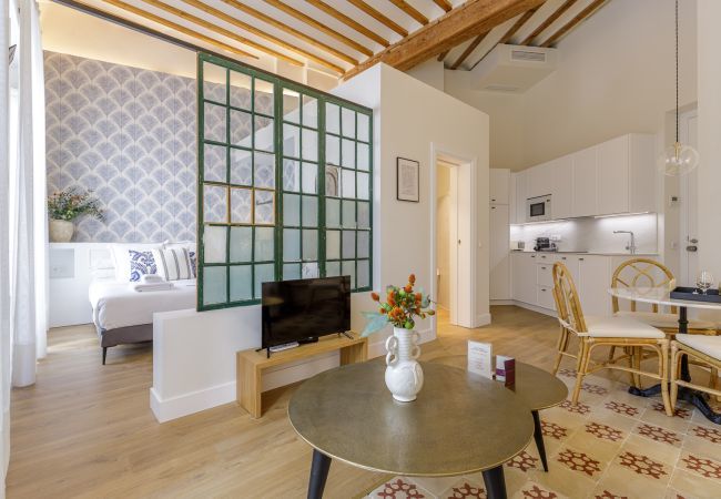 Apartment in Málaga - Palacio Vegafuente 2.1 Apartment in Málaga - Palacio Vegafuente 2.1